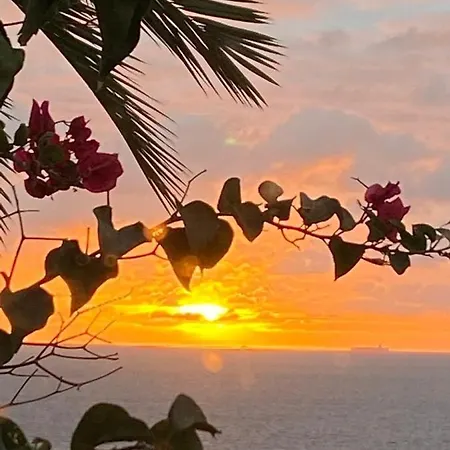 Seaviews And Flowers *