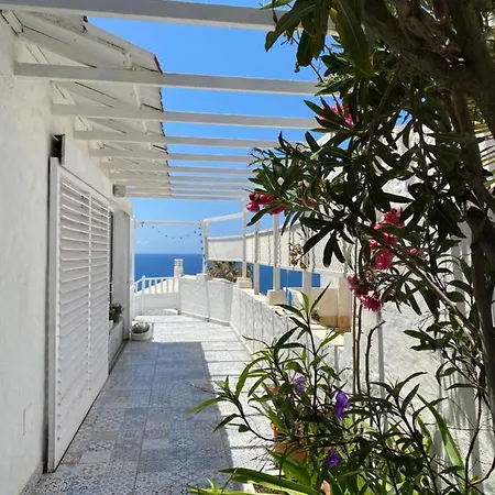 Seaviews And Flowers